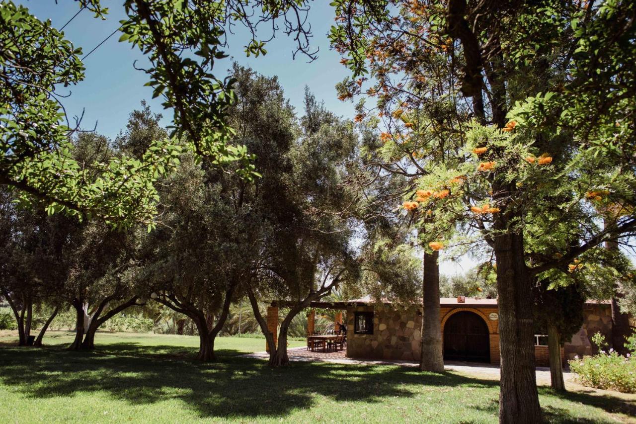 Willa Rancho Toros Pintos Valle de Guadalupe Zewnętrze zdjęcie
