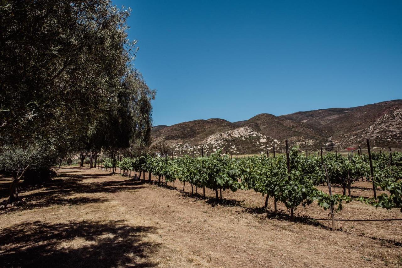 Willa Rancho Toros Pintos Valle de Guadalupe Zewnętrze zdjęcie