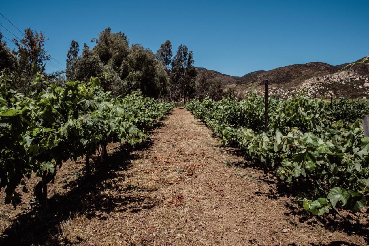 Willa Rancho Toros Pintos Valle de Guadalupe Zewnętrze zdjęcie