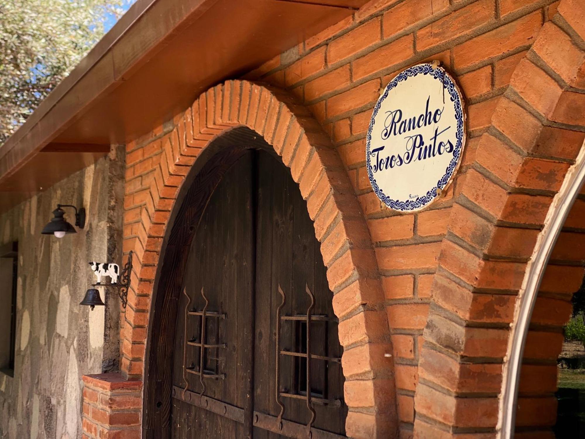 Willa Rancho Toros Pintos Valle de Guadalupe Pokój zdjęcie