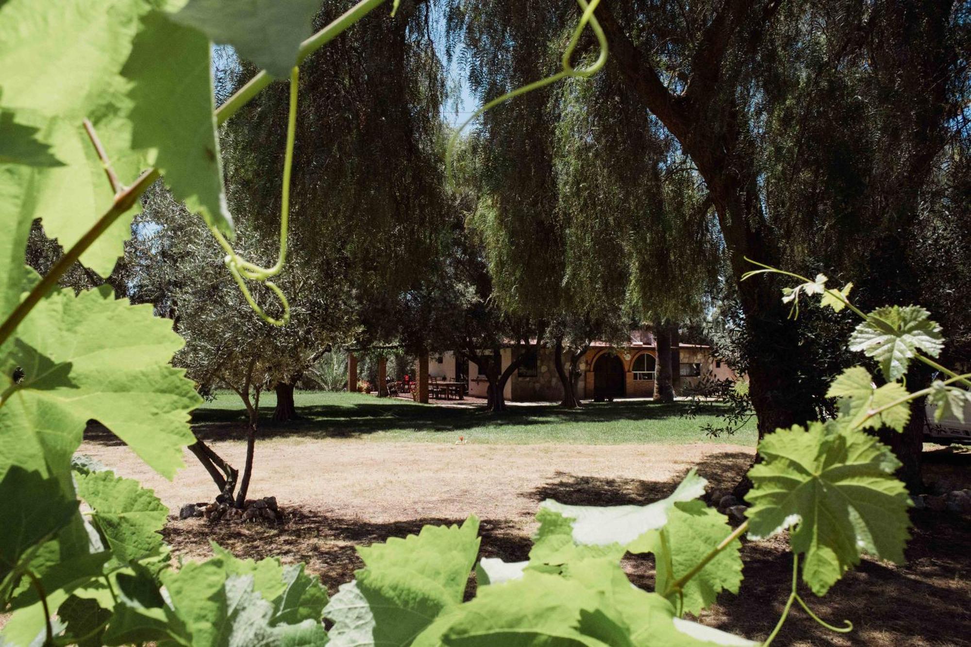 Willa Rancho Toros Pintos Valle de Guadalupe Pokój zdjęcie